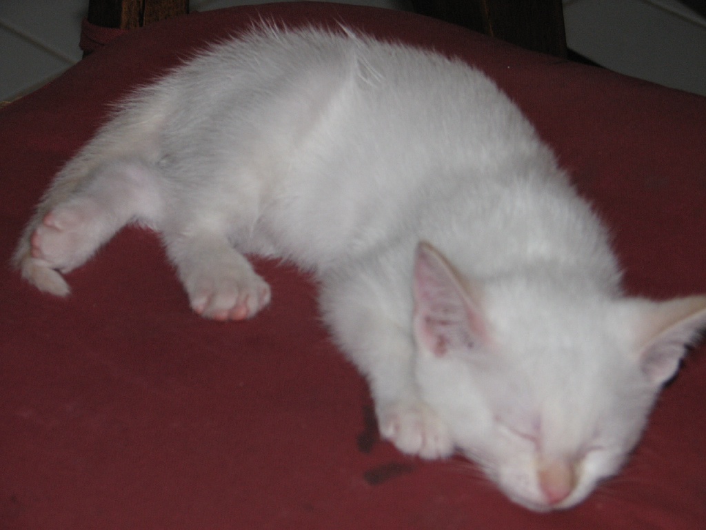 20100206 445.JPG